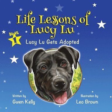 bokomslag Life Lessons of Lucy Lu - Lucy Lu Gets Adopted
