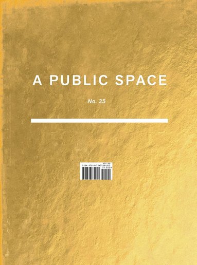 Brigid Hughes - Public Space No. 35, Häftad