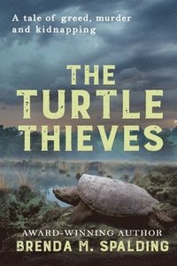 bokomslag The Turtle Thieves
