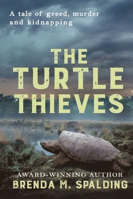 Turtle Thieves