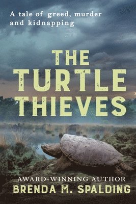 The Turtle Thieves 1