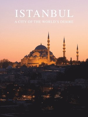 Andrey Vlasov - Istanbul a City of The World's Desire, Häftad
