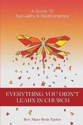 bokomslag Everything You Didn't Learn in Church