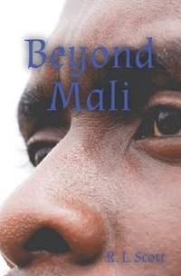 bokomslag Beyond Mali