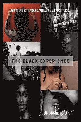 bokomslag The Black Experience