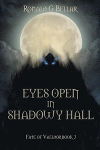 bokomslag Eyes Open In Shadowy Hall