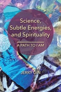 bokomslag Science, Subtle Energies, and Spirituality