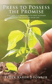bokomslag Press to Possess the Promise