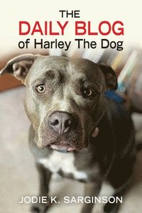 bokomslag The Daily Blog of Harley The Dog