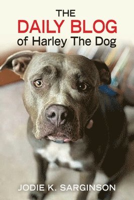 Jodie K Sarginson, Jodie K. Sarginson, K Sarginson, Jodie, Marcy Pusey - Daily Blog of Harley The Dog, Häftad