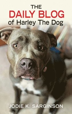 Jodie K Sarginson, Marcy Pusey - Daily Blog of Harley The Dog, Inbunden