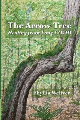 The Arrow Tree 1