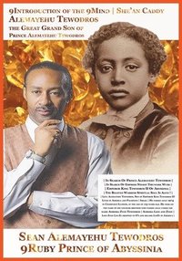 bokomslag Sean Alemayehu Tewodros Giorgis The 9Mind Spiritual Soul Prince President of General George Giorgis Washington Great Grandson of Prince Alemayehu Tewodros Son of Emperor King Tewodros II.
