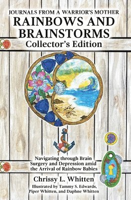 bokomslag Rainbows and Brainstorms Collector's Edition