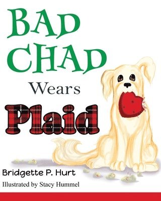 bokomslag Bad Chad Wears Plaid