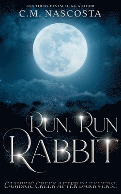 bokomslag Run, Run Rabbit