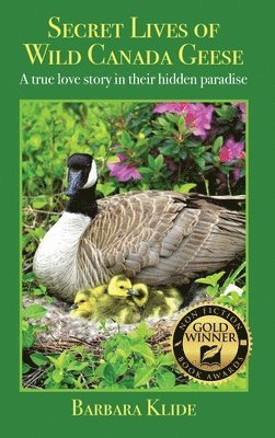 Secret Lives of Wild Canada Geese 1