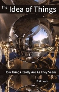 bokomslag Idea of Things