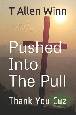 T. Allen Winn - Pushed Into The Pull: Thank You Cuz, Häftad