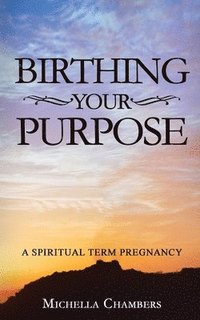 bokomslag Birthing Your Purpose