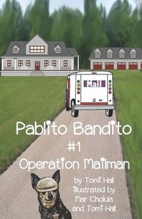bokomslag Pablito Bandito #1 Operation Mailman
