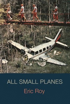bokomslag All Small Planes