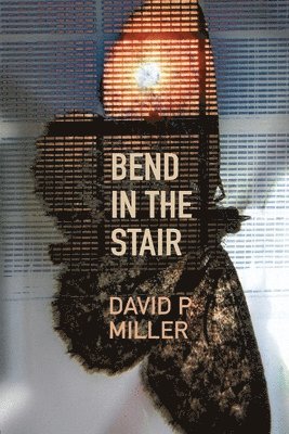 Bend in the Stair 1