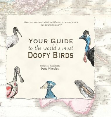 Your Guide to the World's Most Doofy Birds 1