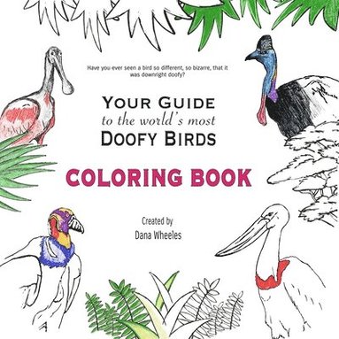 bokomslag Your Guide to the World's Most Doofy Birds Coloring Book