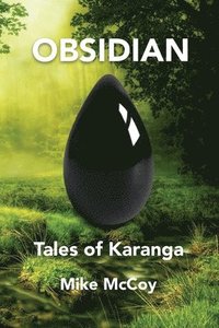 bokomslag Obsidian