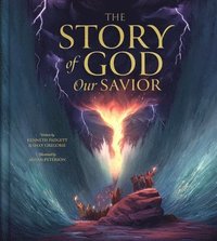 bokomslag The Story of God Our Savior