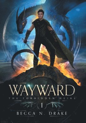 bokomslag Wayward