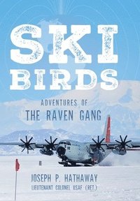 bokomslag Skibirds