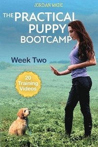 bokomslag Practical Puppy Bootcamp
