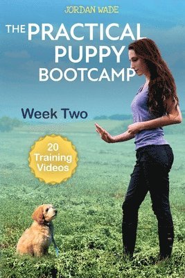 bokomslag Practical Puppy Bootcamp