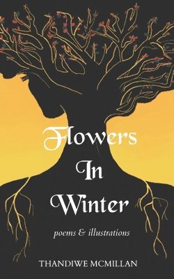 bokomslag Flowers In Winter: Poems and Illustrations
