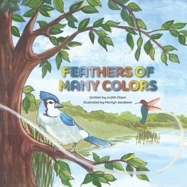 Judith Olson - Feathers of Many Colors, Häftad