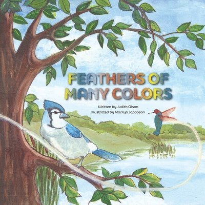 Judith Olson - Feathers of Many Colors, Häftad