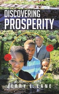 bokomslag Discovering Prosperity