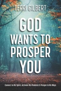 bokomslag God Wants To Prosper You