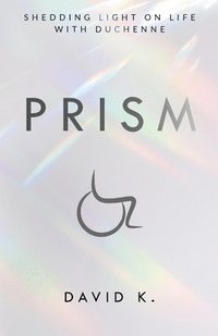 bokomslag Prism