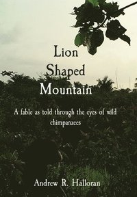 bokomslag Lion Shaped Mountain