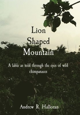 Lion Shaped Mountain