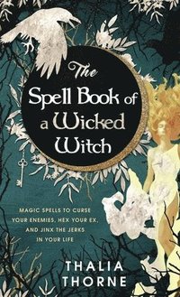 bokomslag The Spell Book of a Wicked Witch