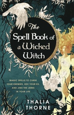 The Spell Book of a Wicked Witch 1