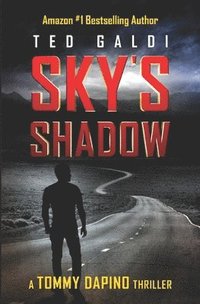 bokomslag Sky's Shadow: A vigilante thriller