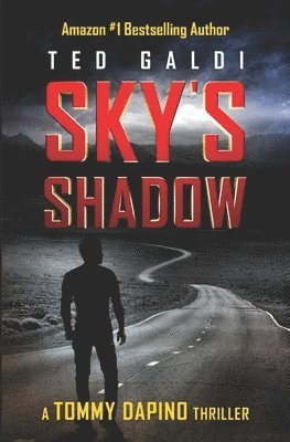 Ted Galdi - Sky's Shadow: A vigilante thriller, Häftad