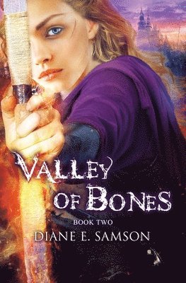 bokomslag Valley of Bones