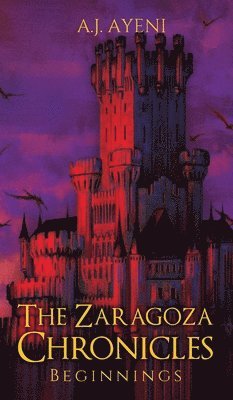 bokomslag Zaragoza Chronicles
