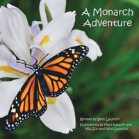 bokomslag Monarch Adventure